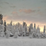 Jeris week 45 12-5737